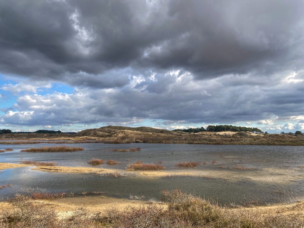 duin- en watergebied Kennemerland Noord-Holland